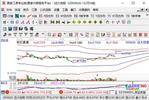 遠達控股強勢漲停，業績大幅預增與國內貿易代理業務成關鍵驅動力